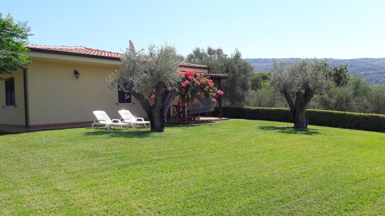 Villa Mimosa Tropea Ricadi Exterior photo