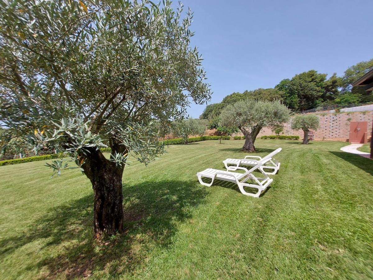 Villa Mimosa Tropea Ricadi Exterior photo